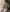 Basic Green Man Oversized T-shirt